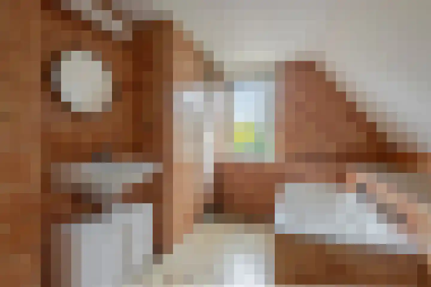 Zomertaling 7 Eemnes thumbnail 35