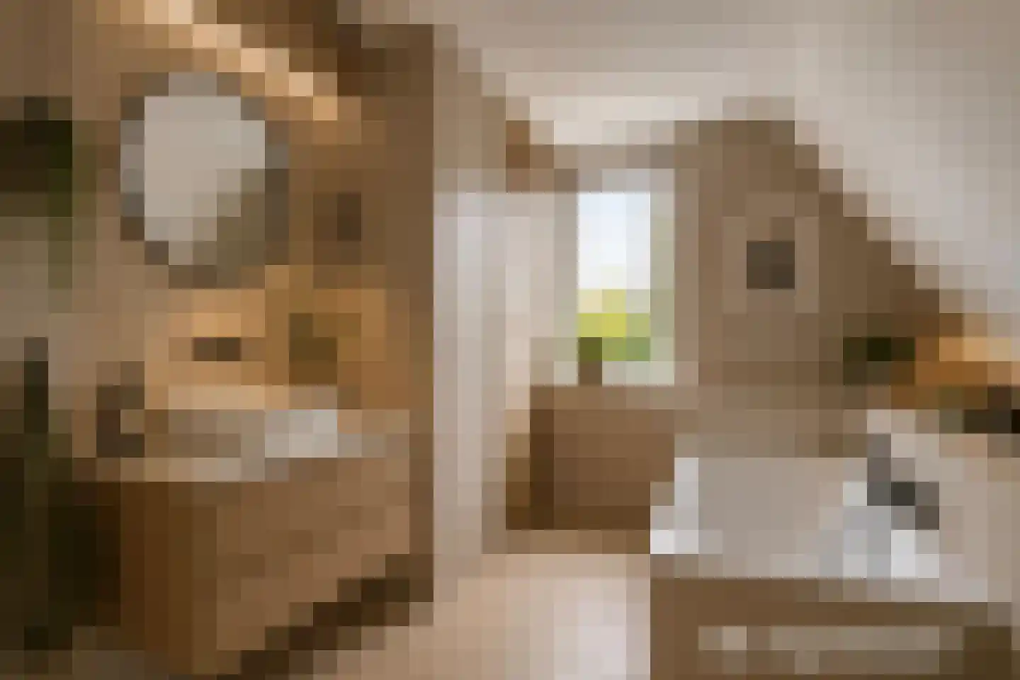 Zomertaling 7 Eemnes thumbnail 39