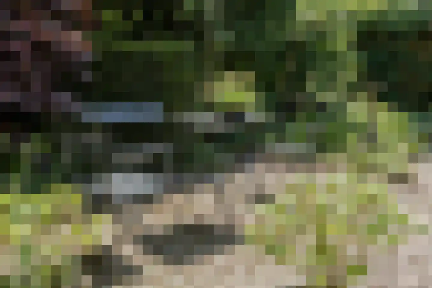 Zomertaling 7 Eemnes thumbnail 56