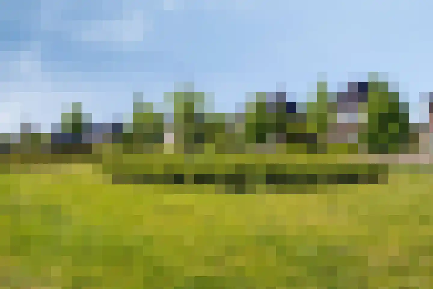 Zomertaling 7 Hendrik-Ido-Ambacht thumbnail 58