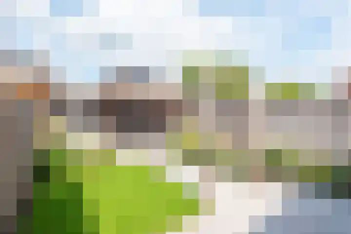 Zomertaling 8 Spanbroek thumbnail 6
