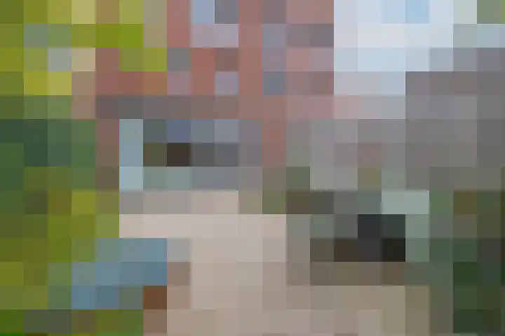 Zomertaling 9 Culemborg thumbnail 32