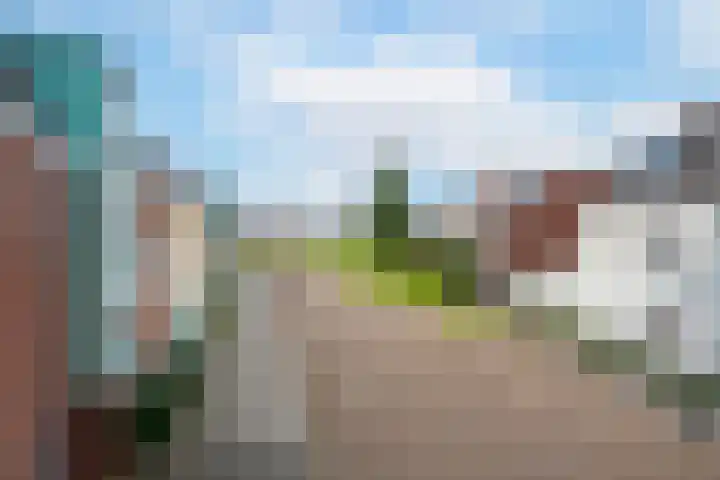 Zomertaling 9 Culemborg thumbnail 7