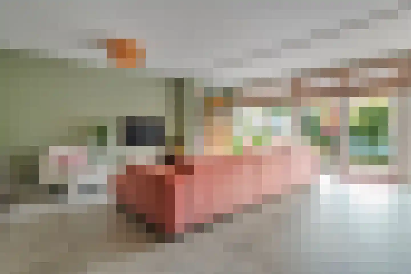 Zomertalinghof 22 Zwolle thumbnail 12