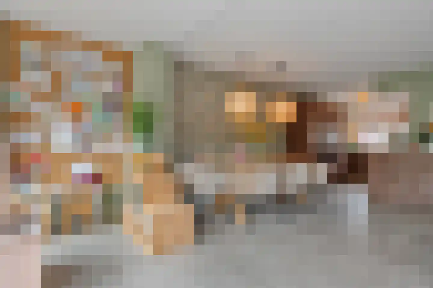 Zomertalinghof 22 Zwolle thumbnail 17