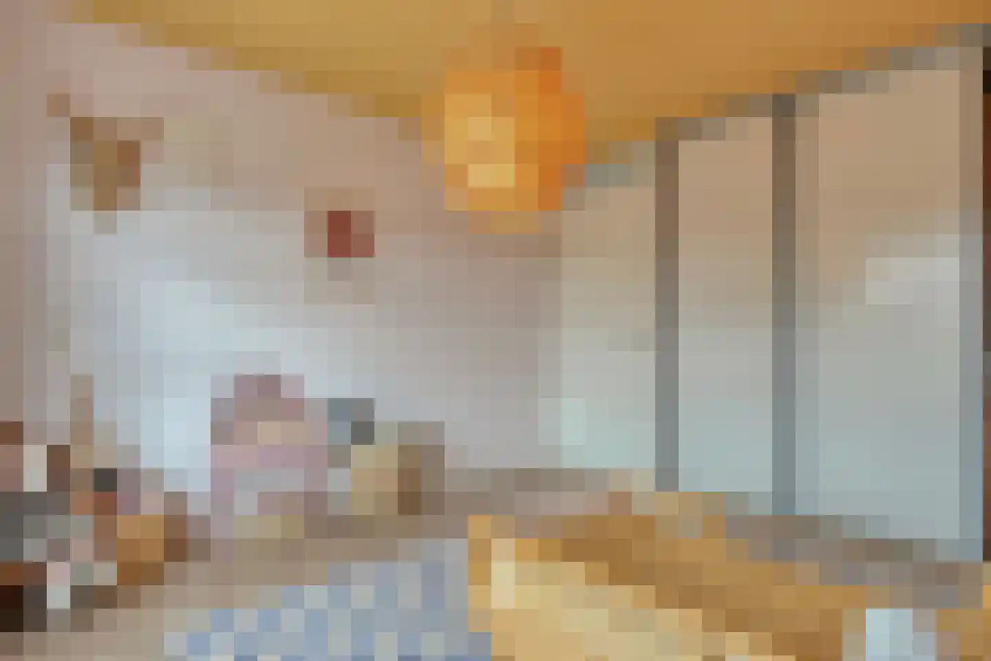 Zomertalinghof 22 Zwolle thumbnail 35