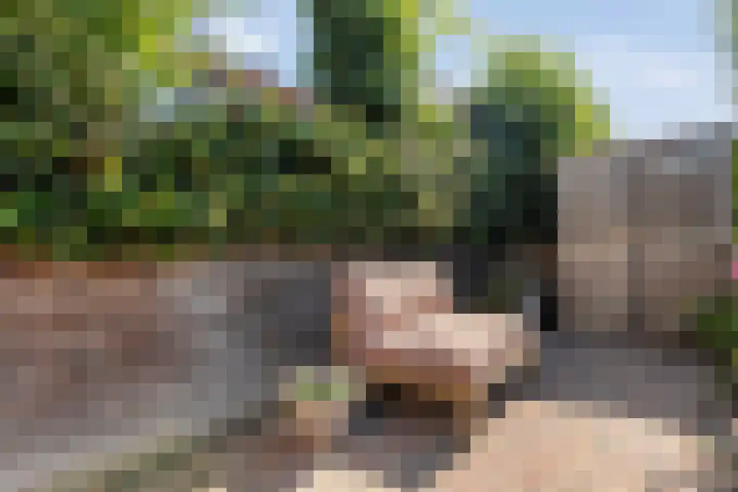 Zomertalinghof 22 Zwolle thumbnail 53