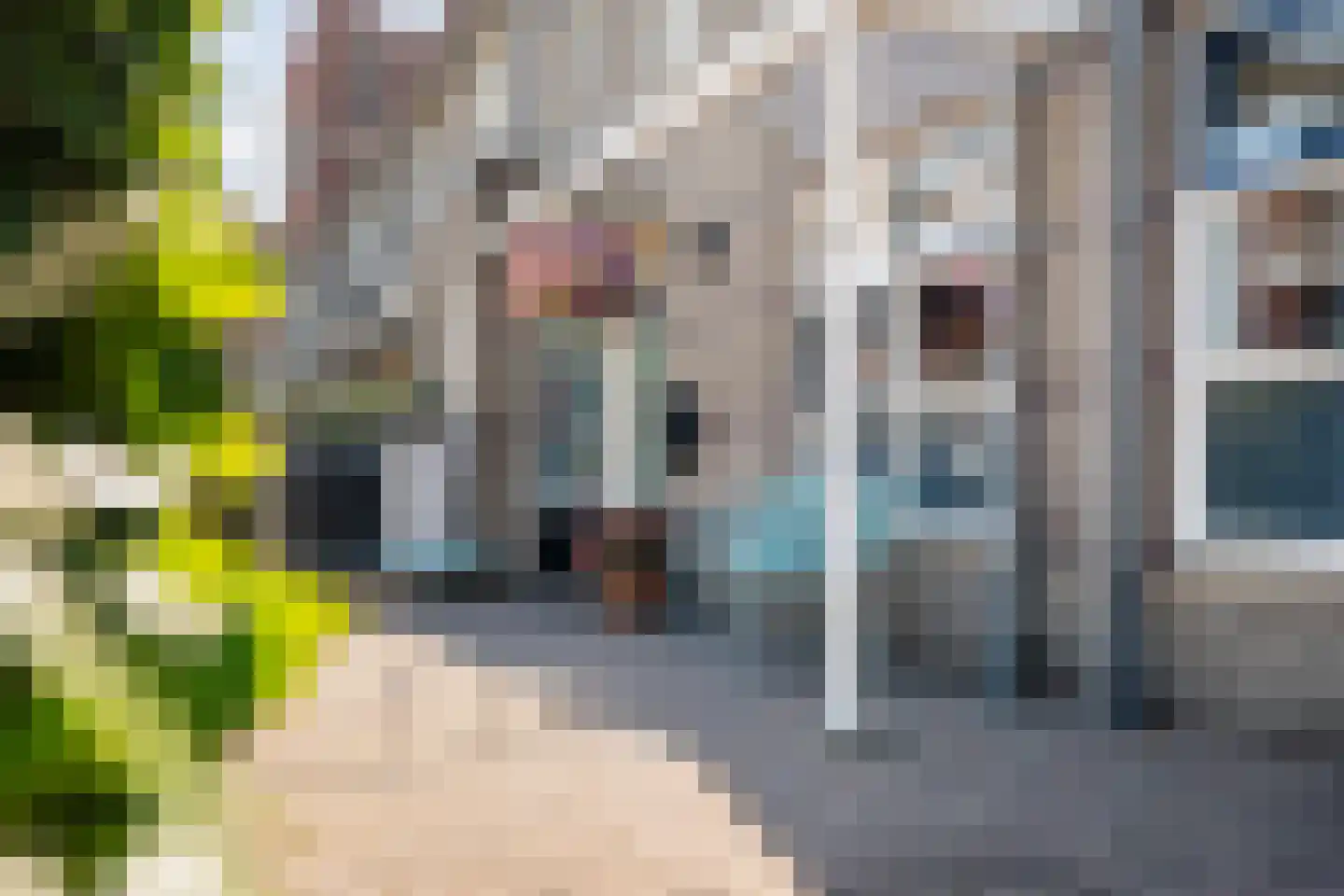Zomertalinghof 22 Zwolle thumbnail 7