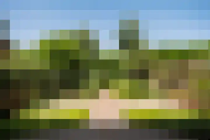 Zomertalinghof 7 Zwolle thumbnail 24