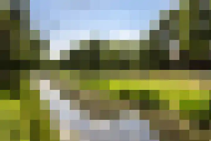 Zomertalinghof 7 Zwolle thumbnail 25