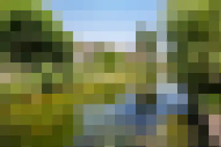 Zomertalinghof 7 Zwolle thumbnail 27