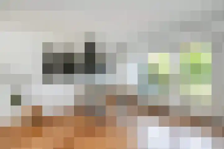 Zomertalinghof 7 Zwolle thumbnail 8