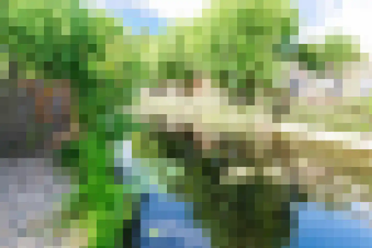 Zomertalinghof 9 Zwolle thumbnail 27