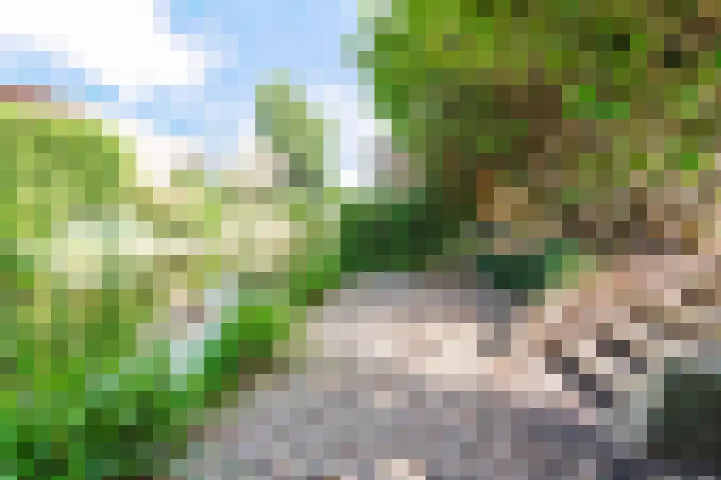 Zomertalinghof 9 Zwolle thumbnail 30