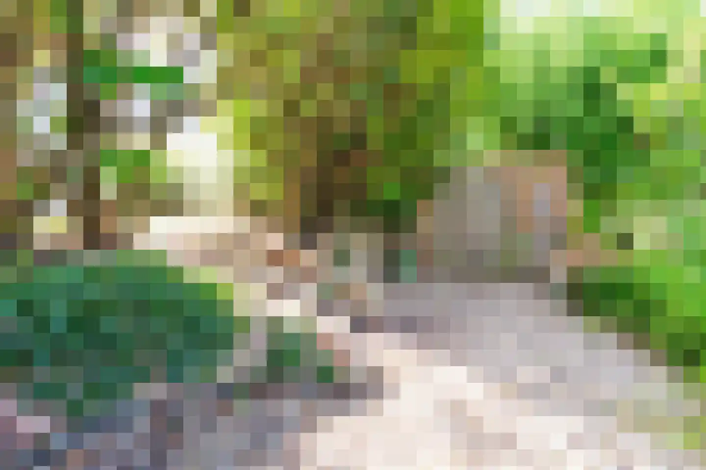 Zomertalinghof 9 Zwolle thumbnail 31
