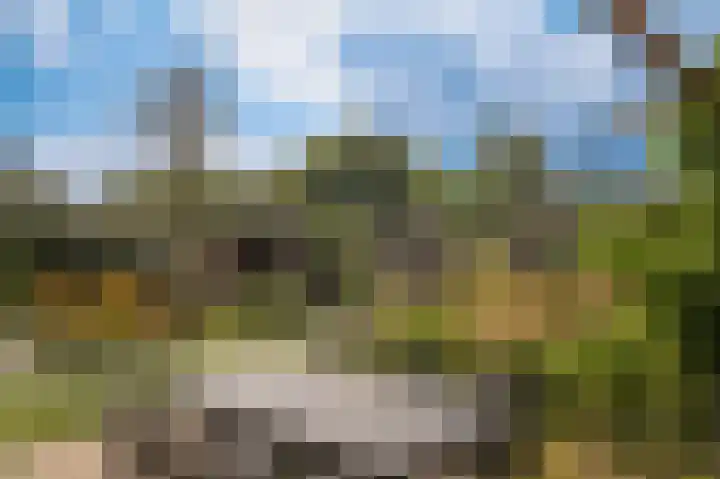 Zomertortellaan 9 Almere thumbnail 34