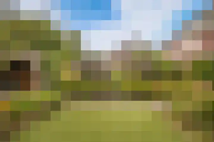 Zomertortellaan 9 Almere thumbnail 36