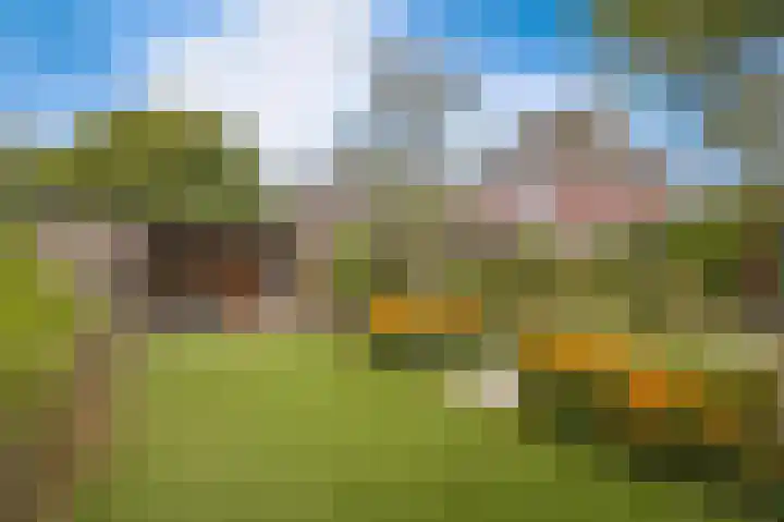 Zomertortellaan 9 Almere thumbnail 37