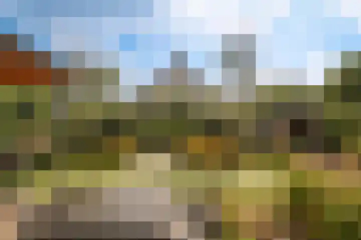 Zomertortellaan 9 Almere thumbnail 40