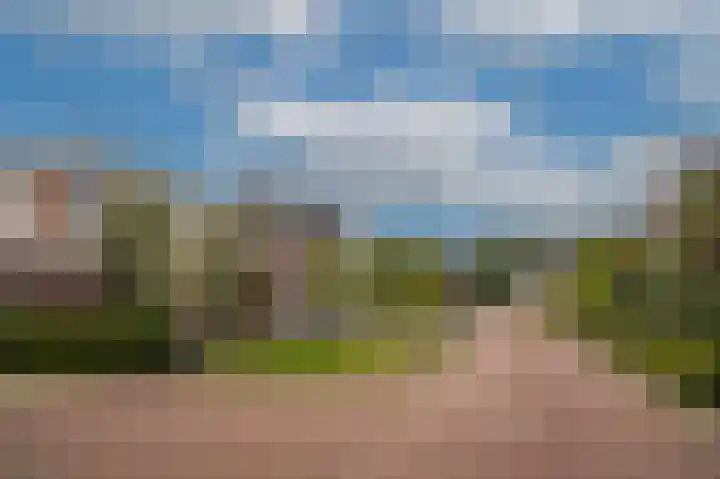 Zomertortellaan 9 Almere thumbnail 6