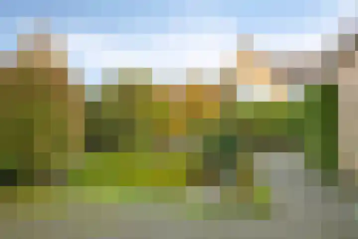 Zomertuin 1 Barneveld thumbnail 29