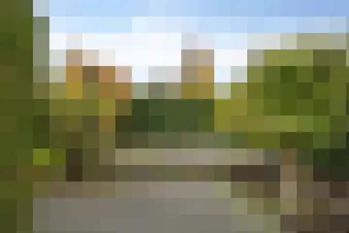 Zomertuin 1 Barneveld thumbnail 30