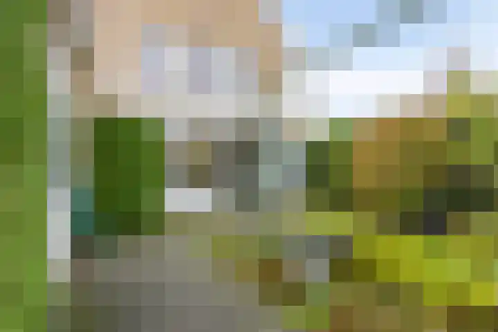 Zomertuin 1 Barneveld thumbnail 31