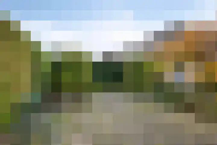 Zomertuin 1 Barneveld thumbnail 32
