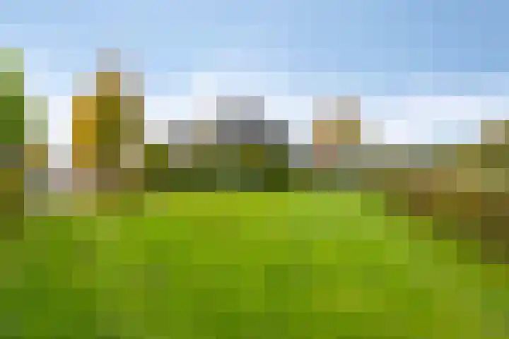Zomertuin 1 Barneveld thumbnail 36