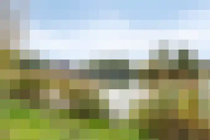 Zomertuin 1 Barneveld thumbnail 37