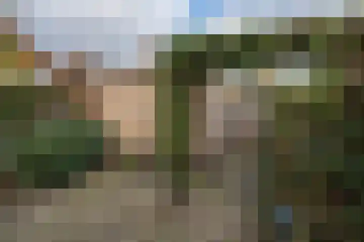 Zomertuin 39 Barneveld thumbnail 30