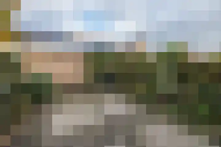 Zomertuin 39 Barneveld thumbnail 32