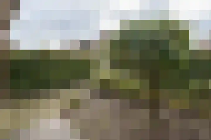 Zomertuin 39 Barneveld thumbnail 33