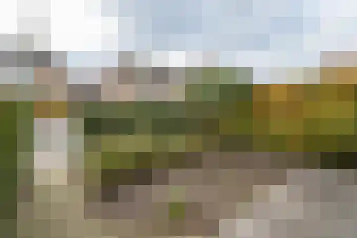 Zomertuin 39 Barneveld thumbnail 34