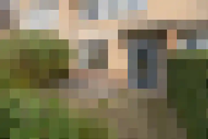 Zomertuin 39 Barneveld thumbnail 35