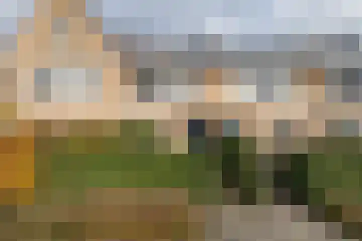 Zomertuin 39 Barneveld thumbnail 36