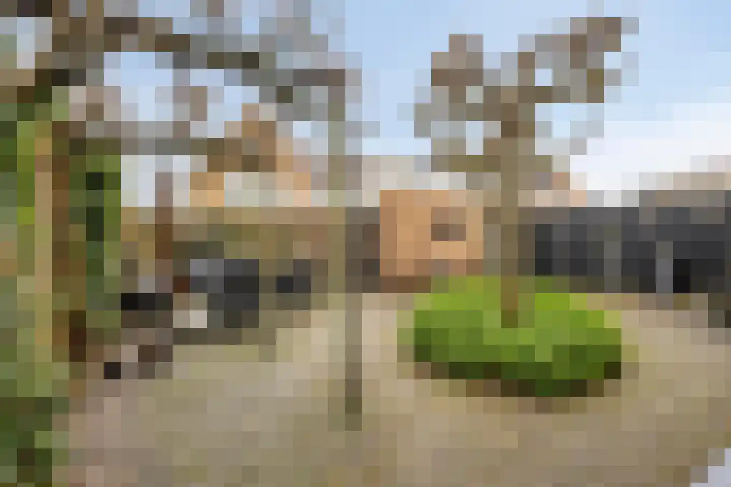 Zomertuin 51 Barneveld thumbnail 31