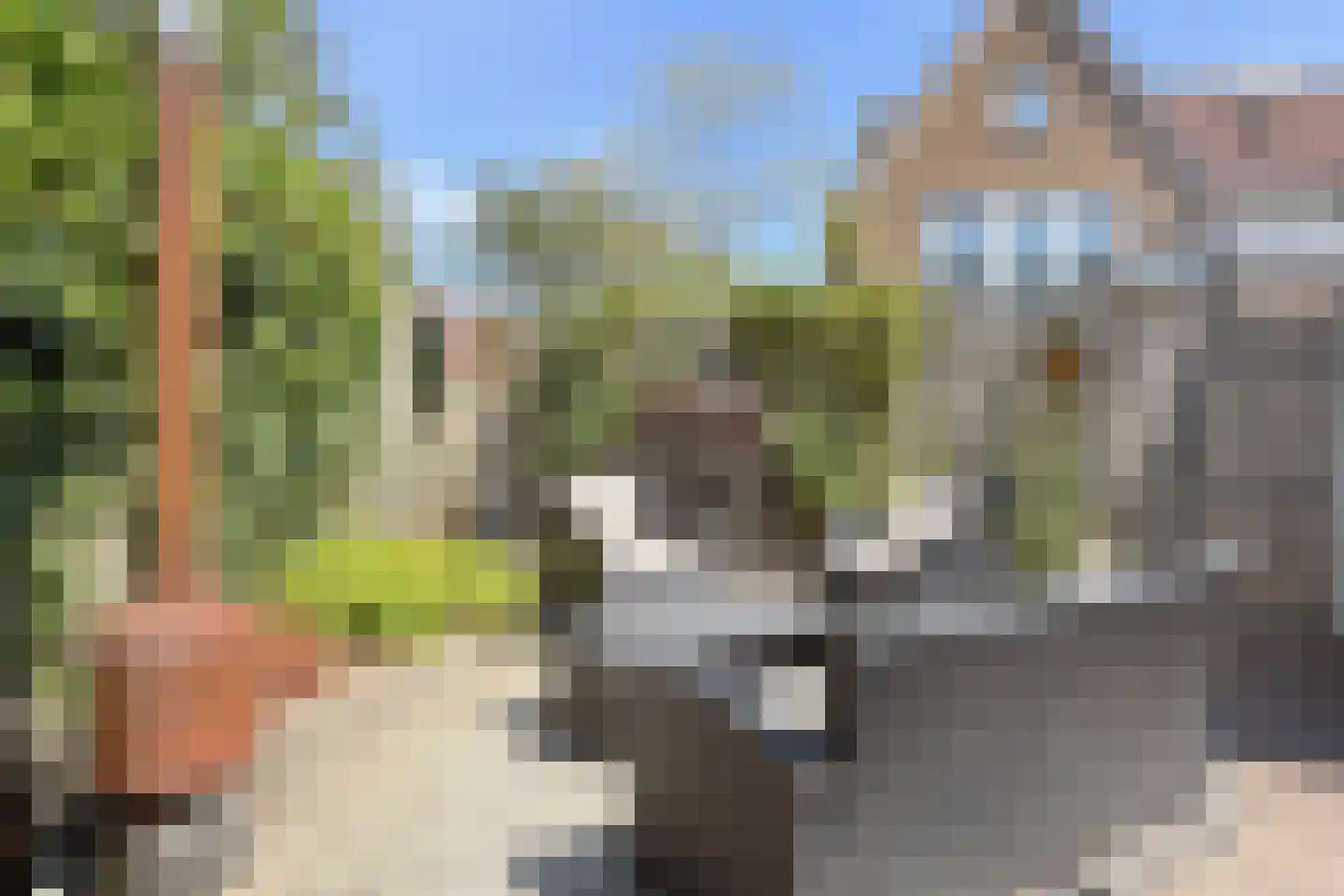 Zomertuin 51 Barneveld thumbnail 32