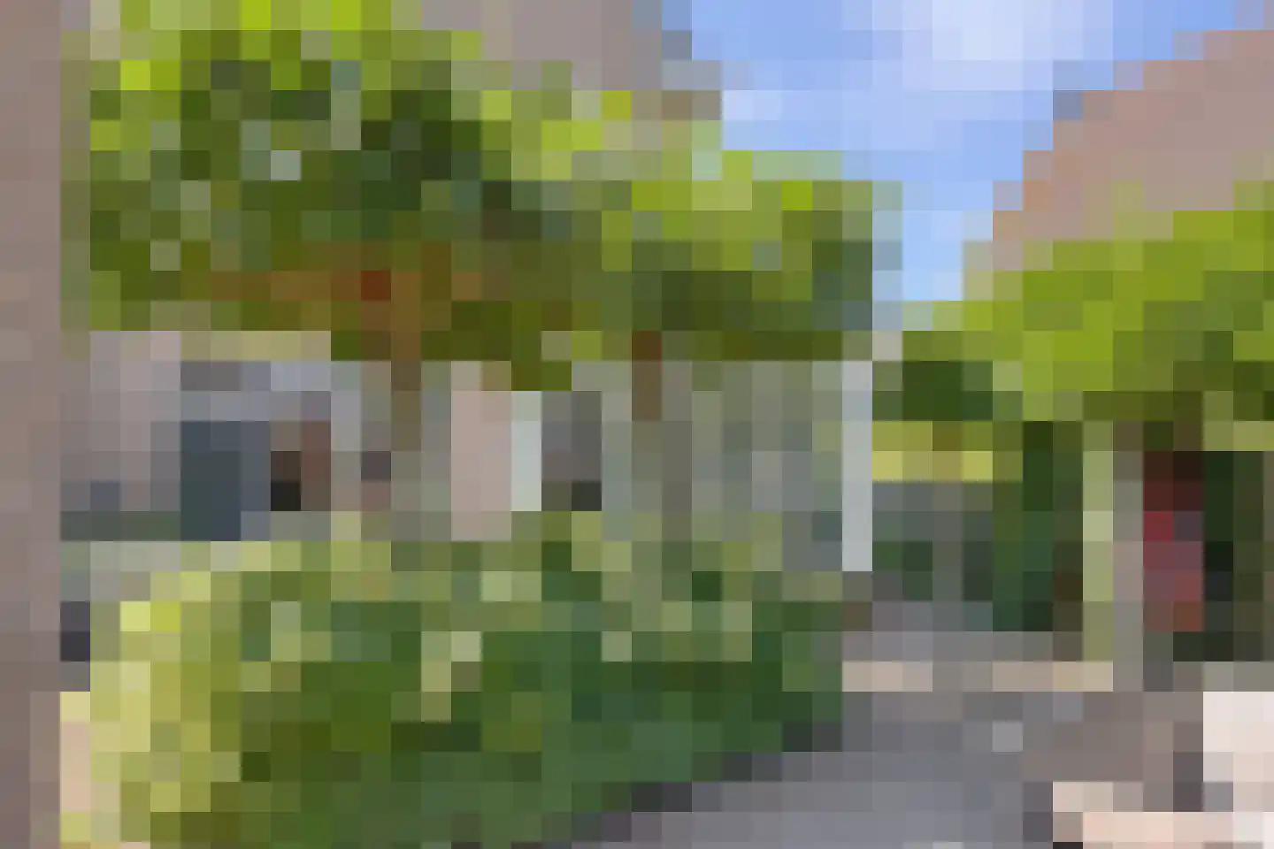 Zomertuin 51 Barneveld thumbnail 33