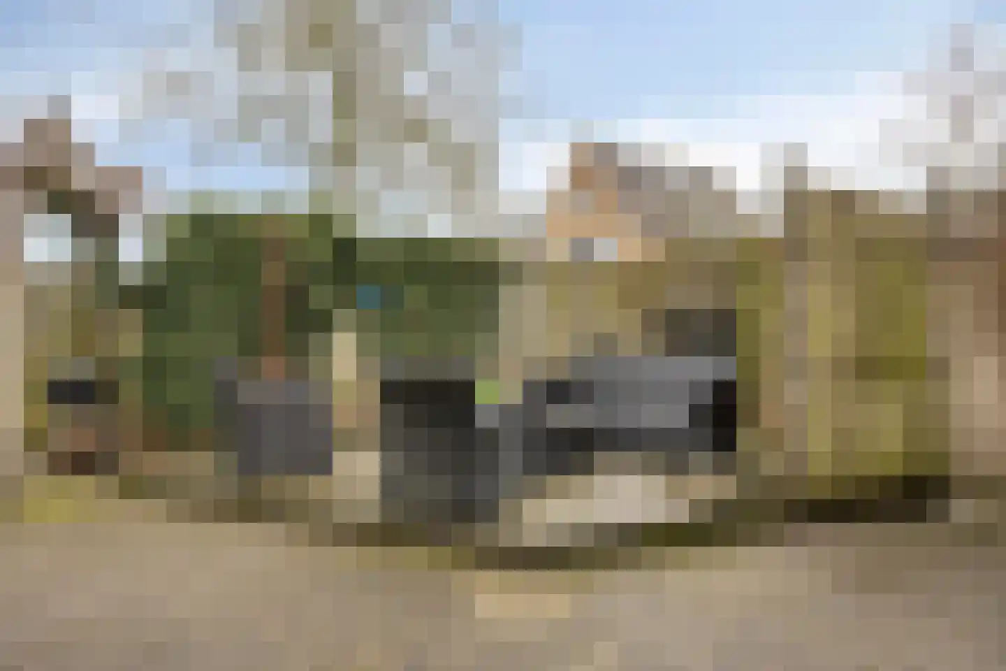 Zomertuin 51 Barneveld thumbnail 33