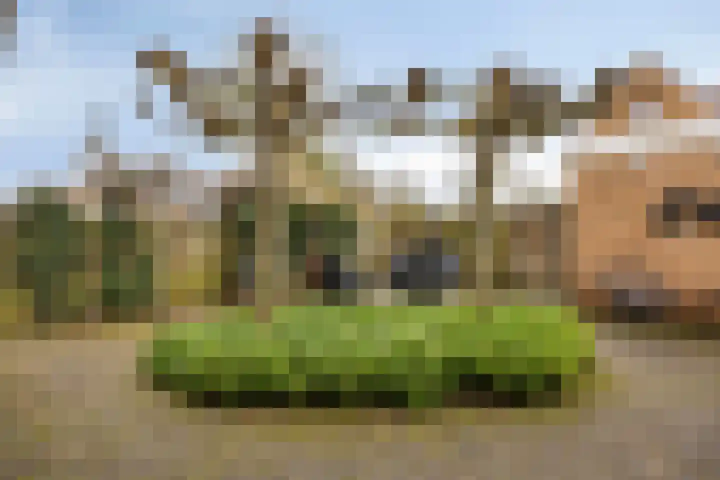 Zomertuin 51 Barneveld thumbnail 34