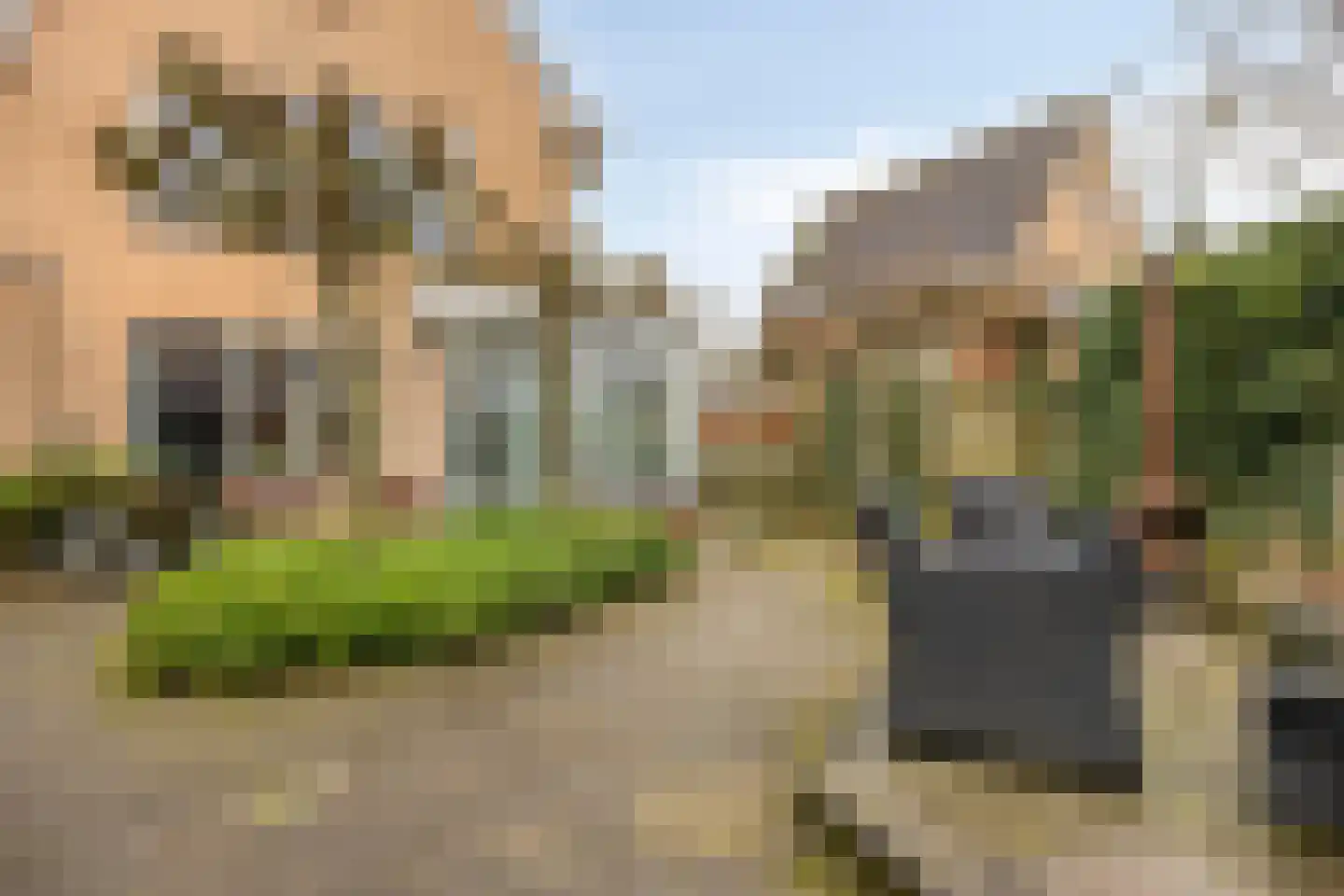 Zomertuin 51 Barneveld thumbnail 35