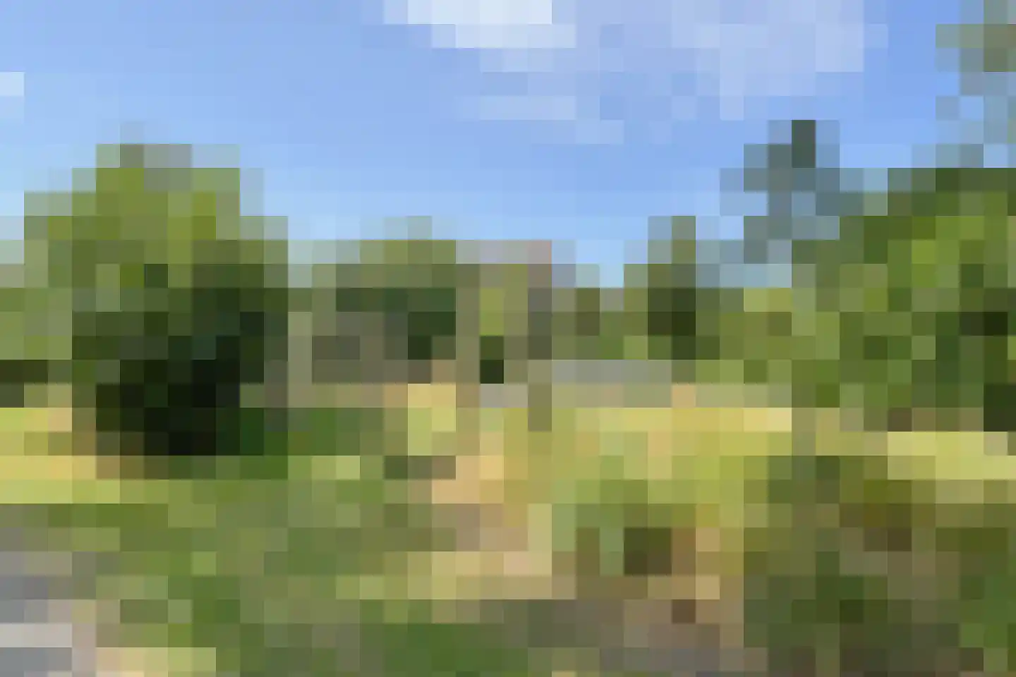 Zomertuin 51 Barneveld thumbnail 37
