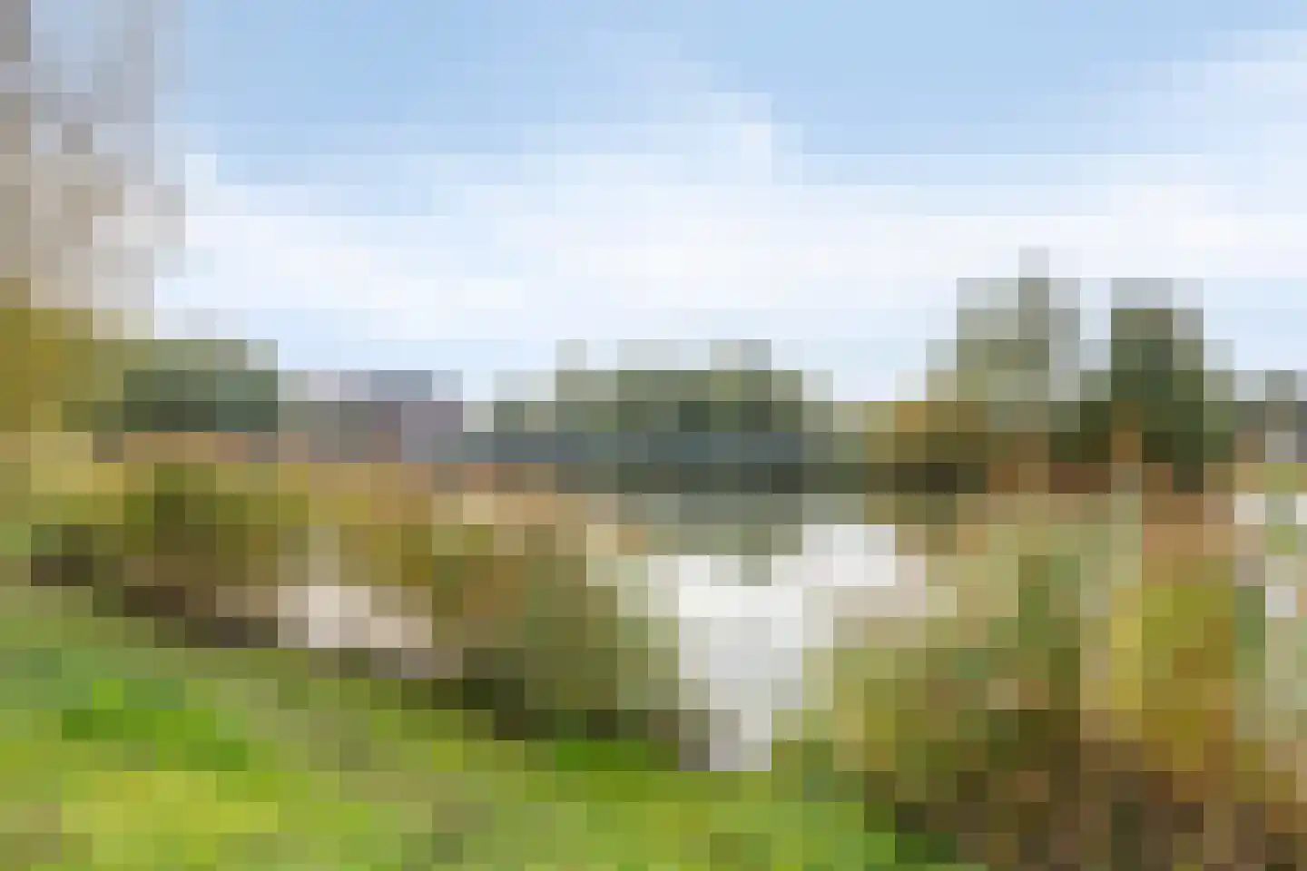 Zomertuin 51 Barneveld thumbnail 38