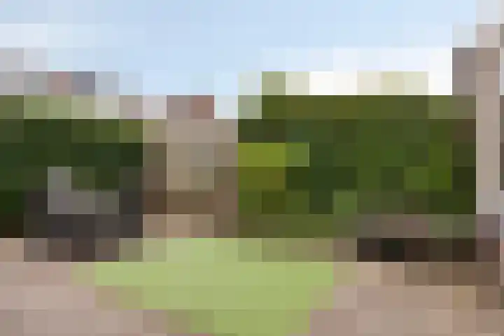Zomertuin 55 Barneveld thumbnail 27