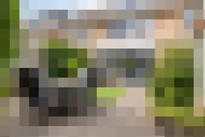 Zomertuin 55 Barneveld thumbnail 29