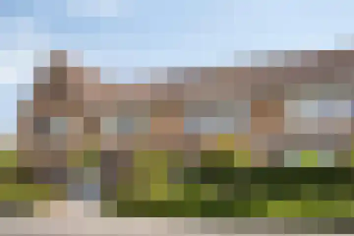 Zomertuin 55 Barneveld thumbnail 30