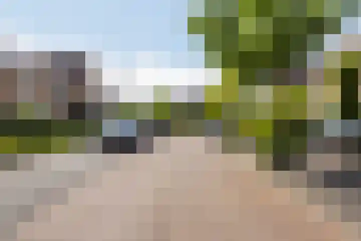 Zomertuin 55 Barneveld thumbnail 31