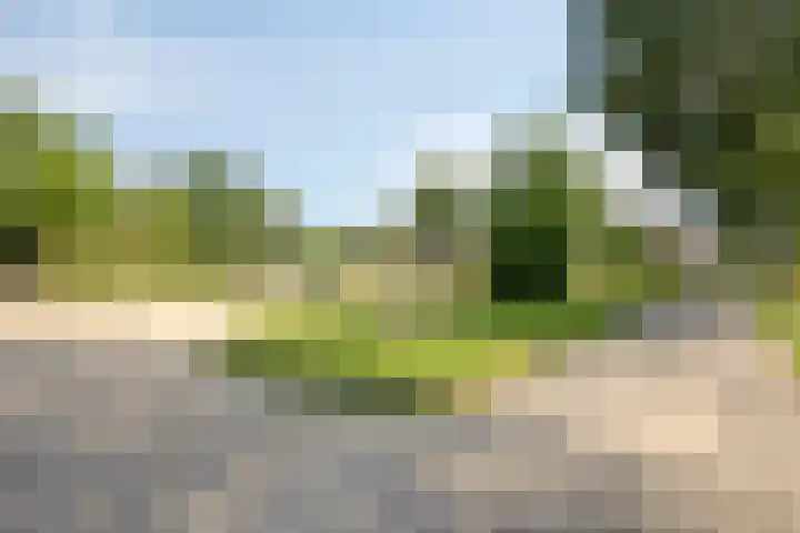 Zomertuin 55 Barneveld thumbnail 32