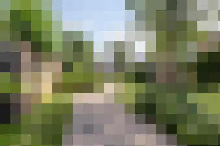 Zomertuin 55 Barneveld thumbnail 34